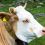 David B.'s profile image
