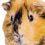 Troy G.'s profile image