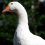 John M.'s profile image