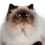 LENA M.'s profile image