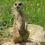 Kieth G.'s profile image