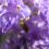 Susan H.'s profile image