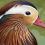 Mark E.'s profile image