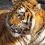 Ilana L.'s profile image
