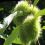 Paila D.'s profile image