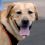 VeryRevChristopher B.'s profile image