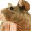 Wendy A.'s profile image