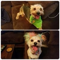 Jennifer C.'s profile image