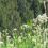 Jacqueline L.'s profile image