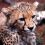 Michael W.'s profile image