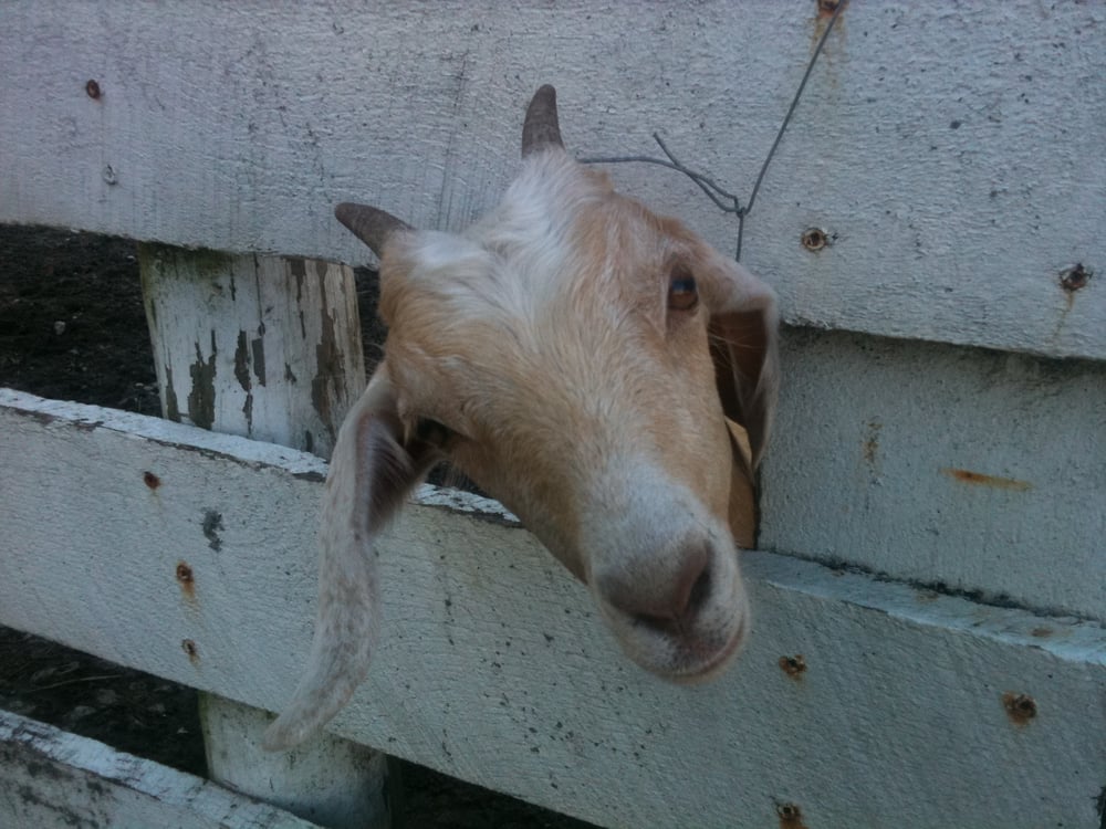 Filo B.'s profile image