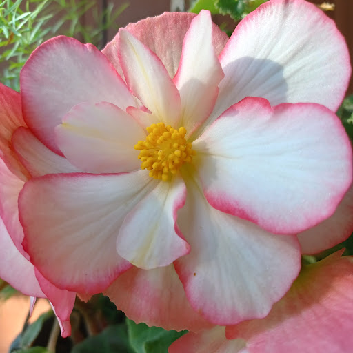 Wanda Kamps's profile image
