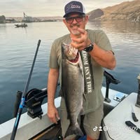 Rick Critelli's profile image