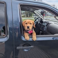 Bob Collins's profile image