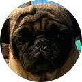 Caryn Shun's Profile Image