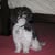 Nancy S Charney's profile image