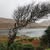 Cath Chauvin's profile image