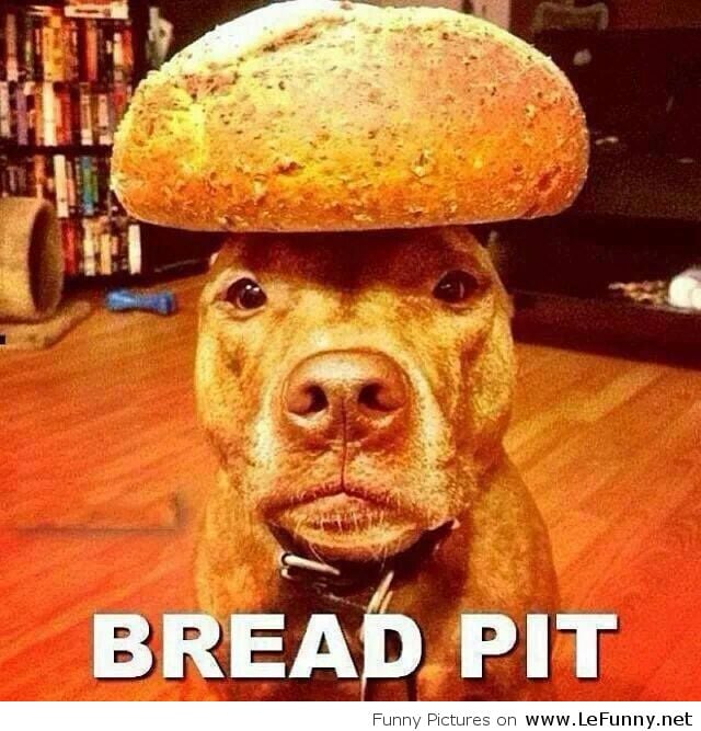 Mark T.'s profile image