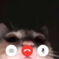 Jessica Salimbene's profile image