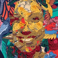 Silvia Romero's profile image