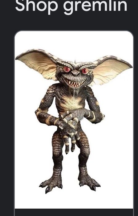 Selia N.'s profile image