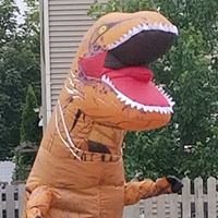 Lisa M.'s profile image