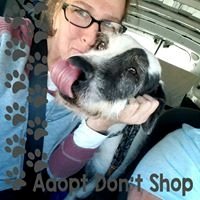 Kirsten S.'s profile image