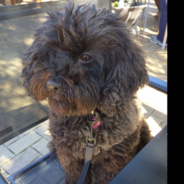 Molly P.'s profile image