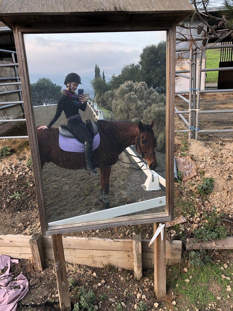 Heidi M.'s profile image