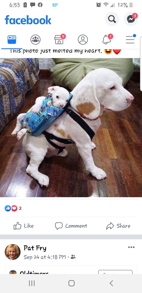 Debbie T.'s profile image