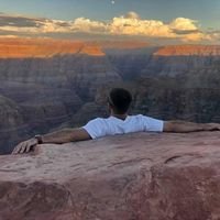David B.'s profile image