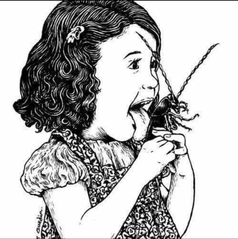 Laura C.'s profile image