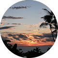 Dawneeta Schmautz's profile image