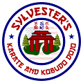 Robert Sylvester's Profile Image