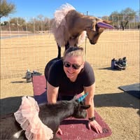 Krista Pauline's profile image