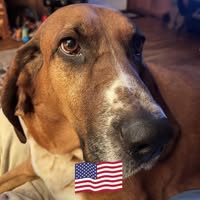 Annette Shell Moore's profile image