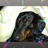 Sue Stalnaker's profile image