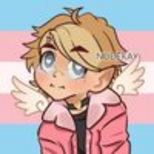 Vaan L.'s profile image