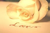 Krystle H.'s profile image