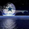 Sheila J.'s profile image