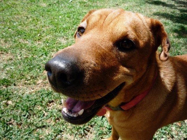 Rebekah S.'s profile image