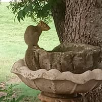 Rebecca Kay Trotter's profile image