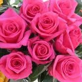 Deya Flores's profile image