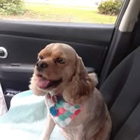 Carole Mitchum Baker's profile image