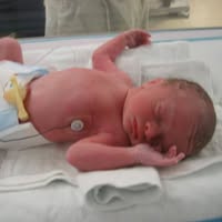 Katie McBride Cardone's profile image