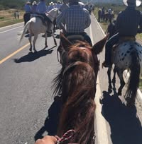 Gabino Zapata's profile image