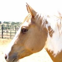 Jen A.'s profile image