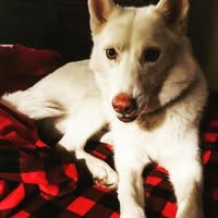 Whitney Hayes's profile image