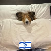 Lisa Harper's profile image