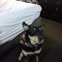 Carol LeMaster's profile image